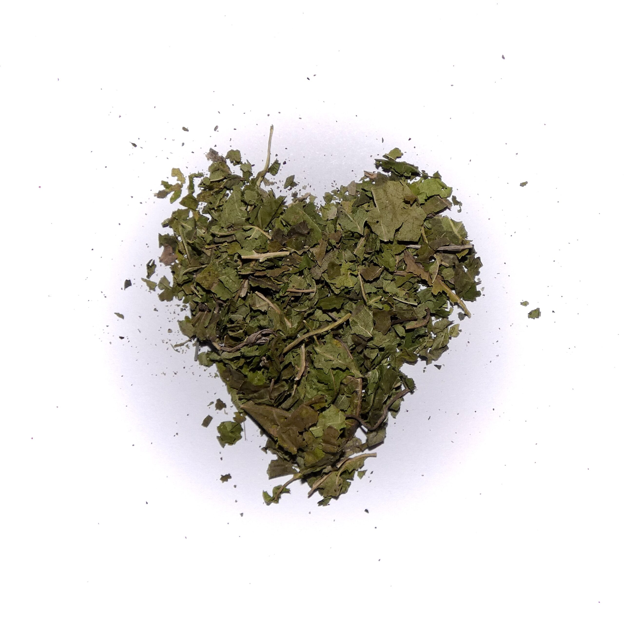 MataTabi silvervine leaf heart shape DankNips
